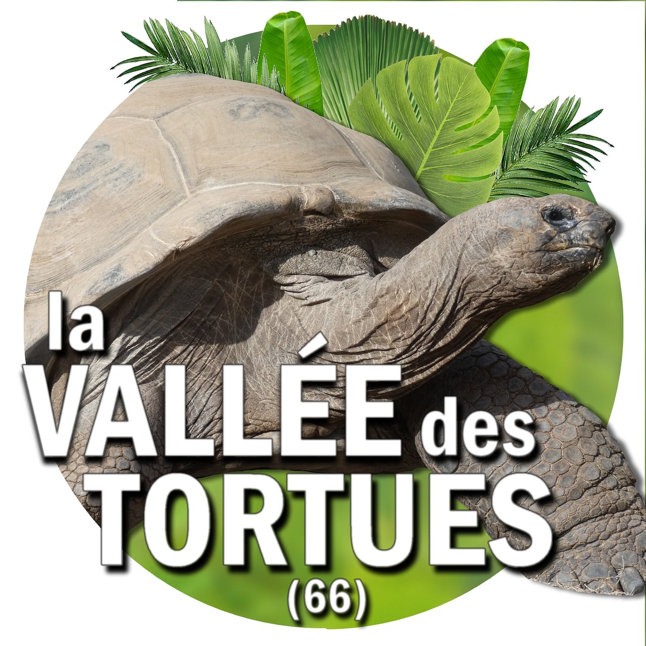 Camping Mer Sable Soleil : La Vallee Des Tortues