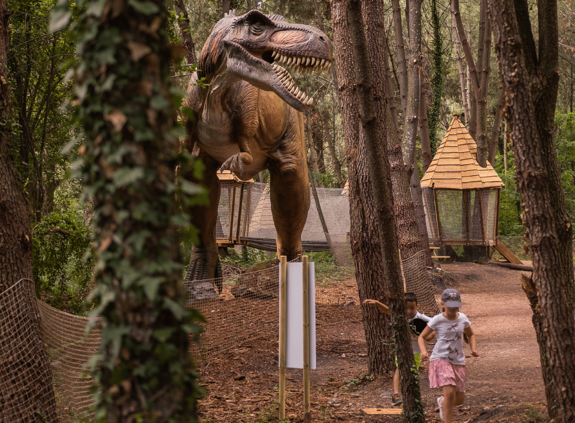 Camping Mer Sable Soleil : Dinopedia Photo2